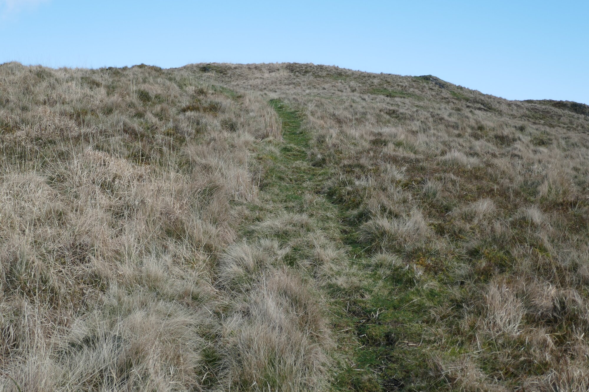 RachelSeabrook.net | Wild Walking | Bryn Mawr | pic25